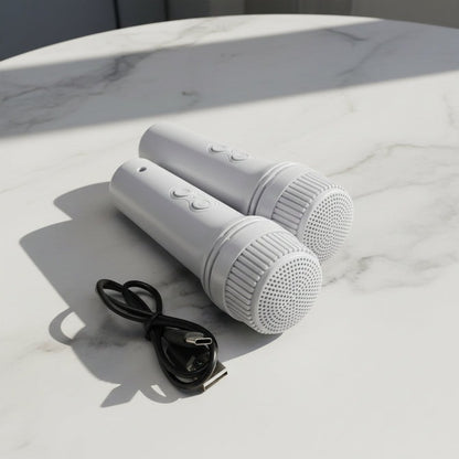 Rechargeable Wireless Bluetooth Speaker with 2 Mics